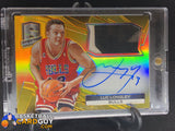 2014-15 Panini Spectra Gold Prizm Patch Luc Longley #/10 - Basketball Cards